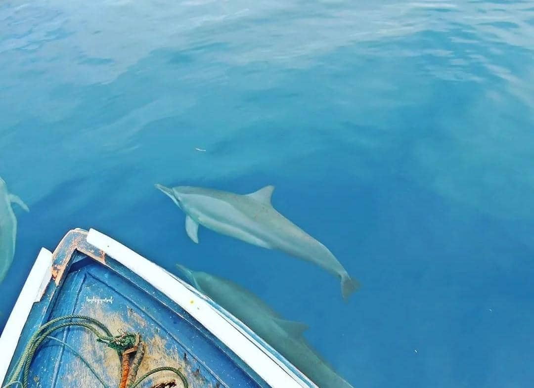 instagram.com/provsulut