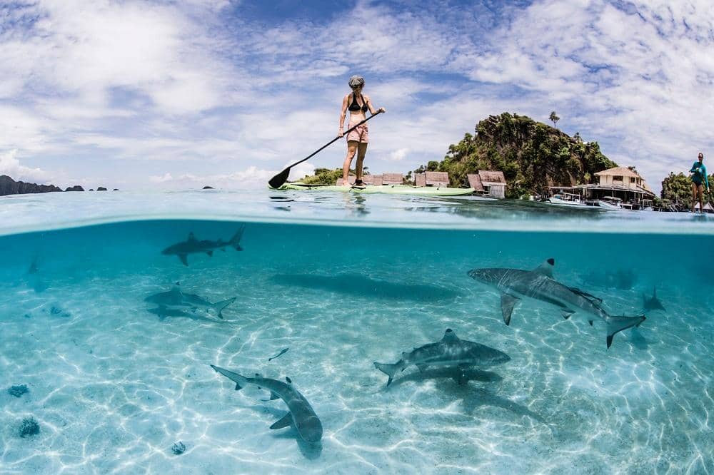 misoolfoundation.org