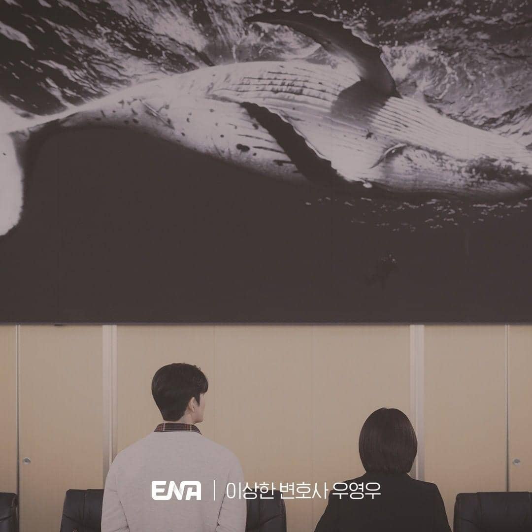 instagram.com/channel.ena.d