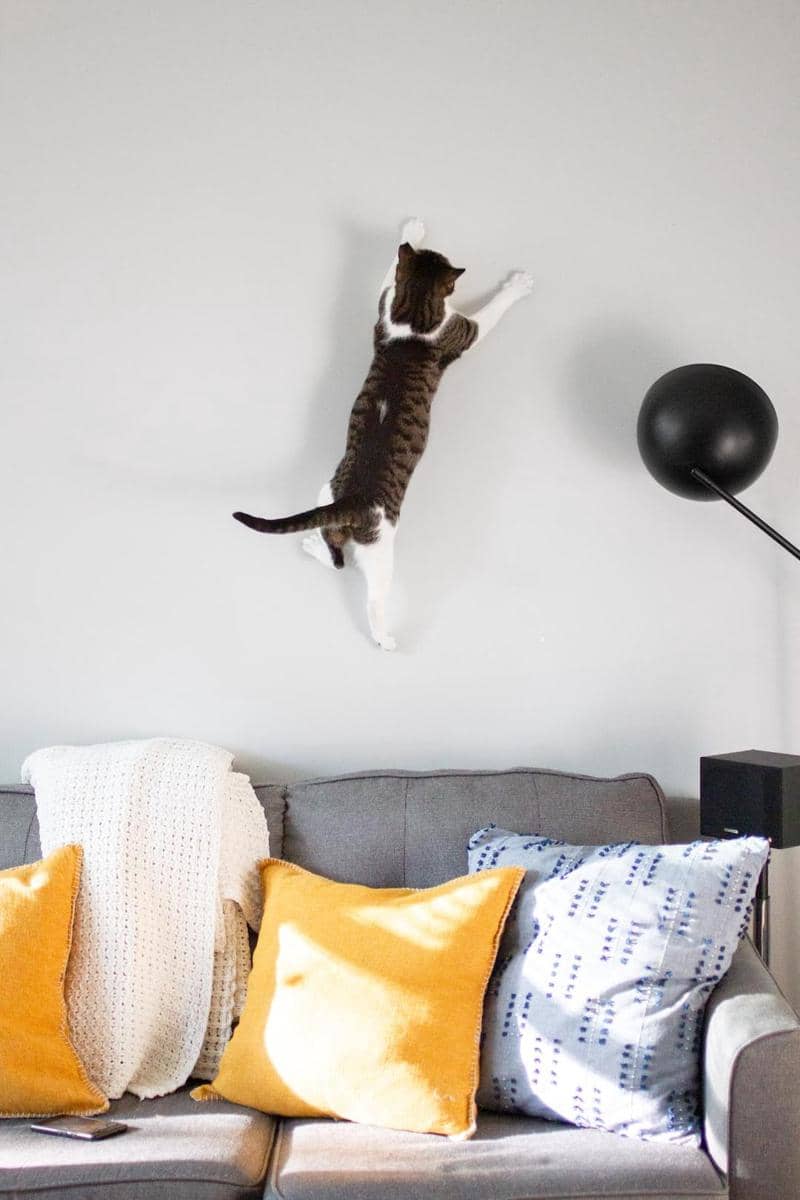 Unsplash.com/Sarah Shull