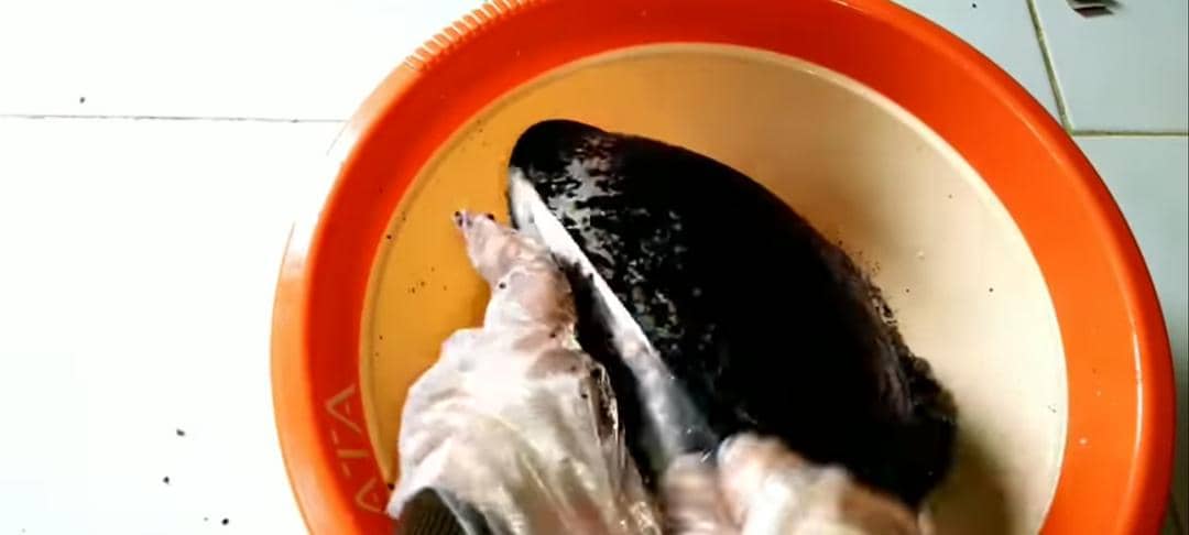 Youtube.com/BISNIS IBU RUMAH TANGGA