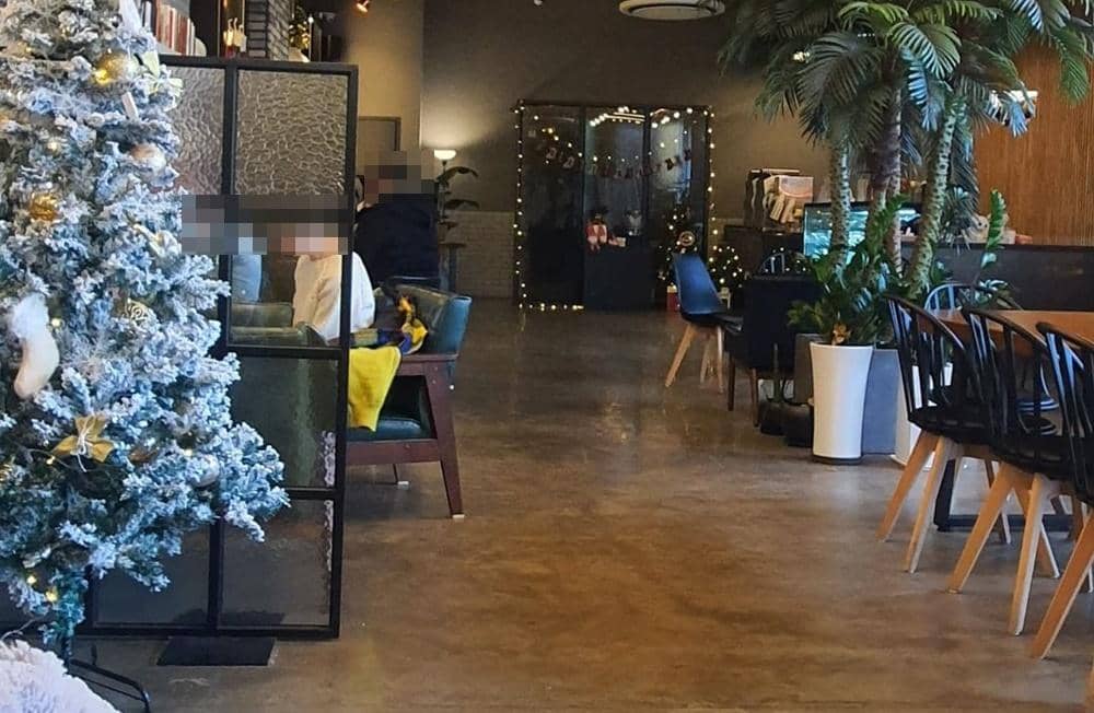 Instagram.com/candybirds1