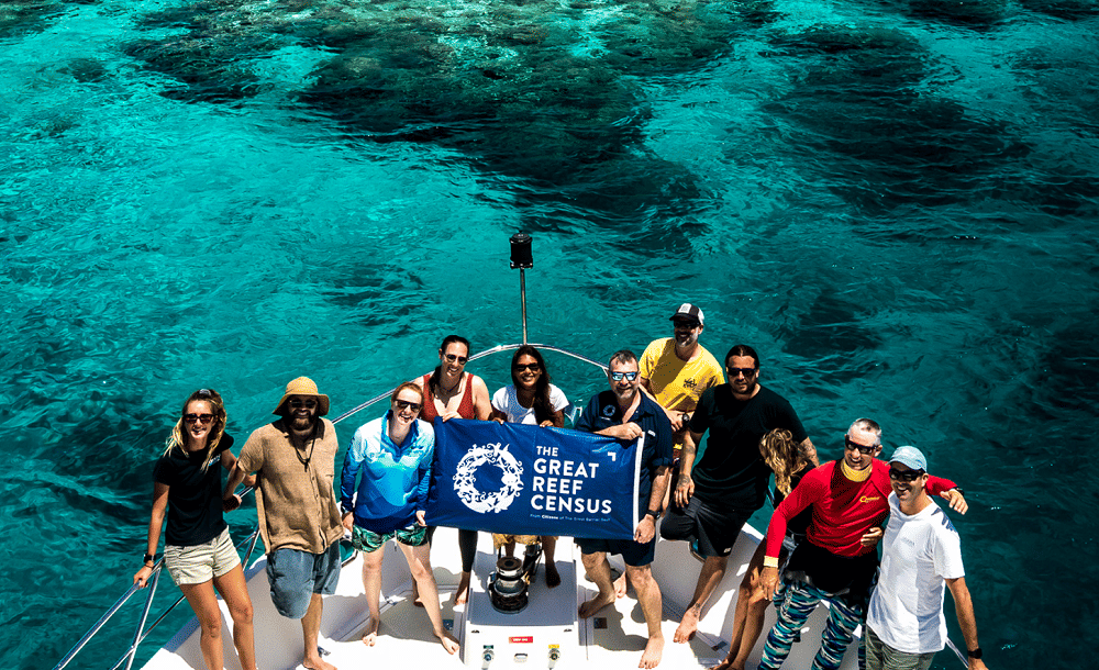 ilustrasi Great Reef Census (dok. Citizens of The Great Barrier Reef )