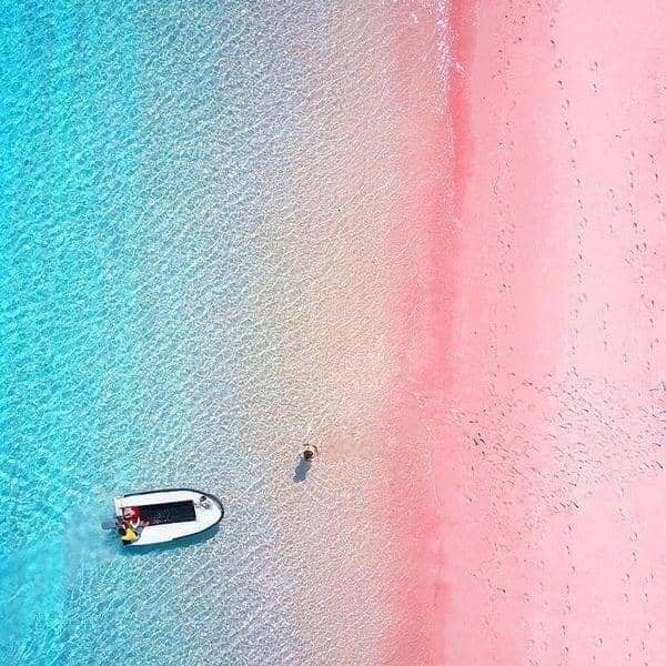 instagram.com/dagowisatatours