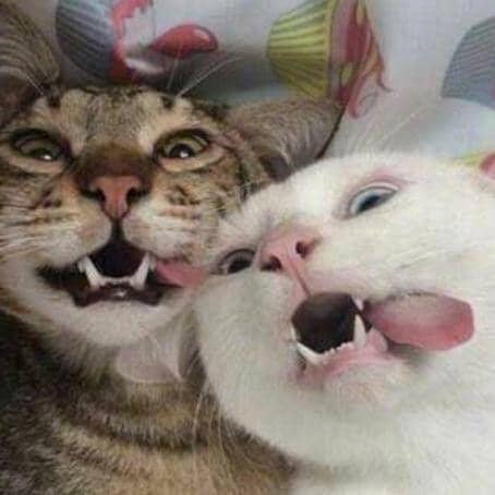 pinterest.com/JulianaRoding