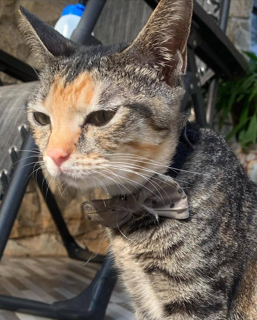 popbela.com/AyuUtami