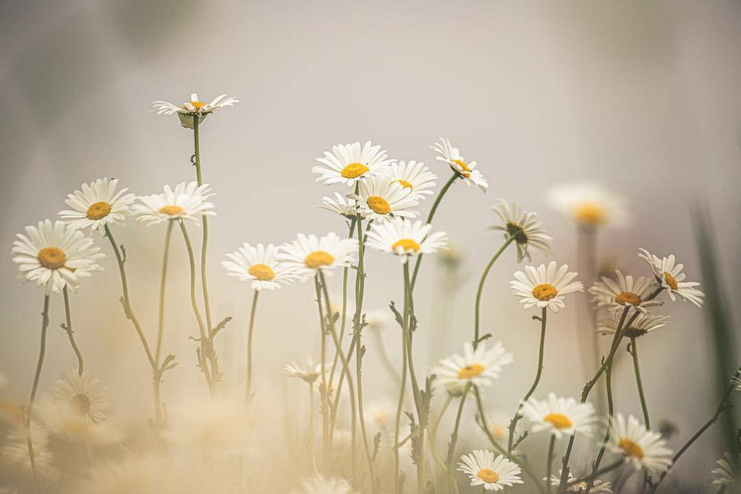 Unsplash.com/Christine Cinate