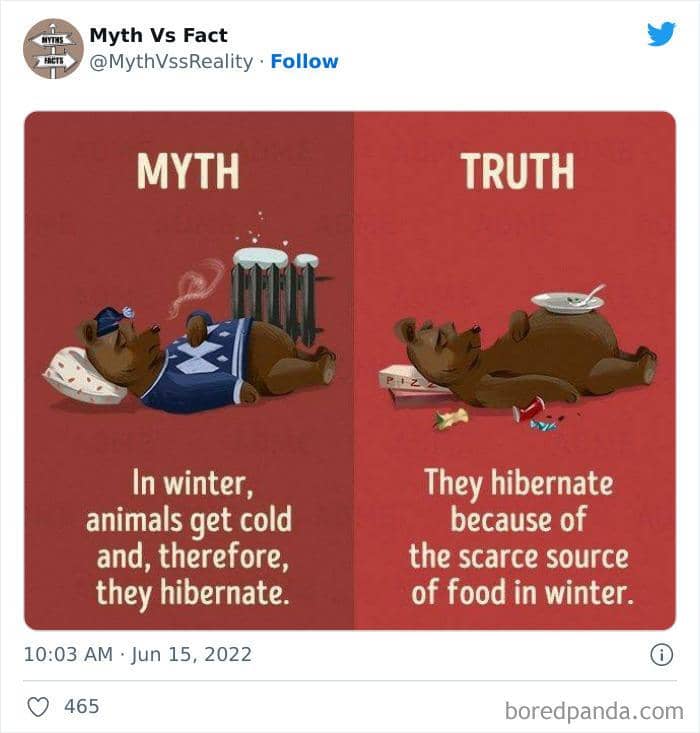 Twitter.com/MythvsReality
