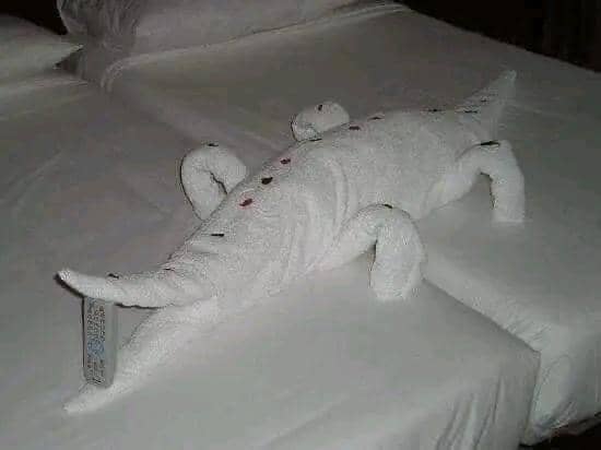 Facebook.com/Bamby TV