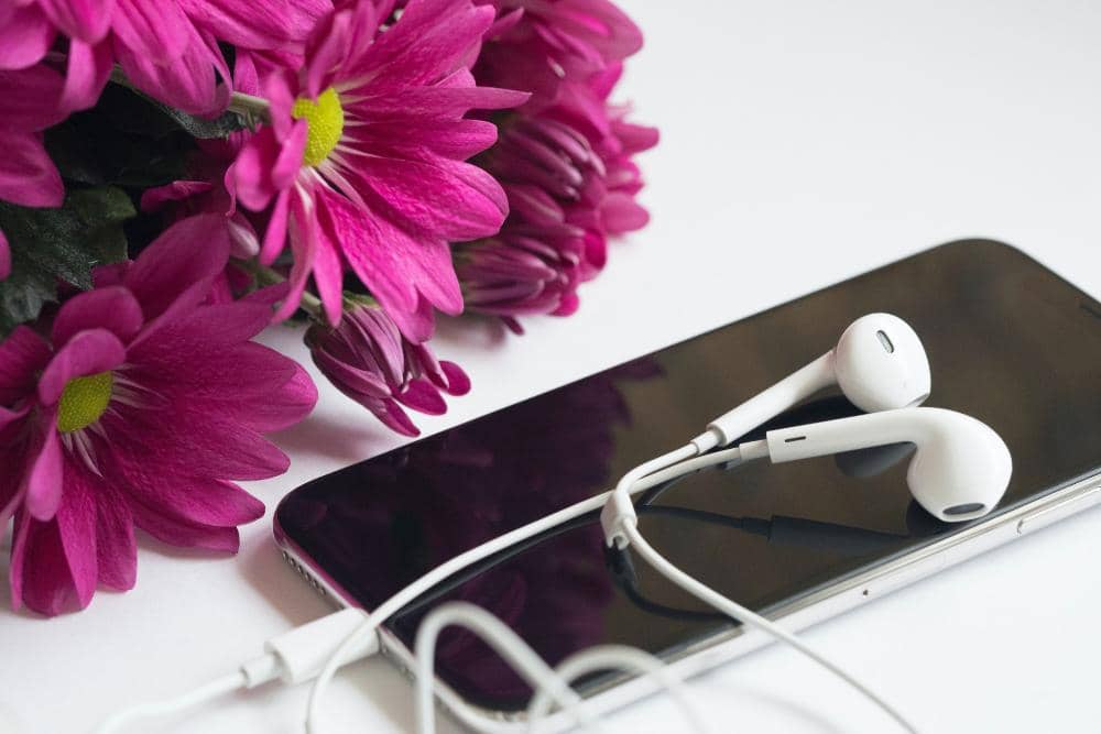 pexels.com/Jess Bailey Designs