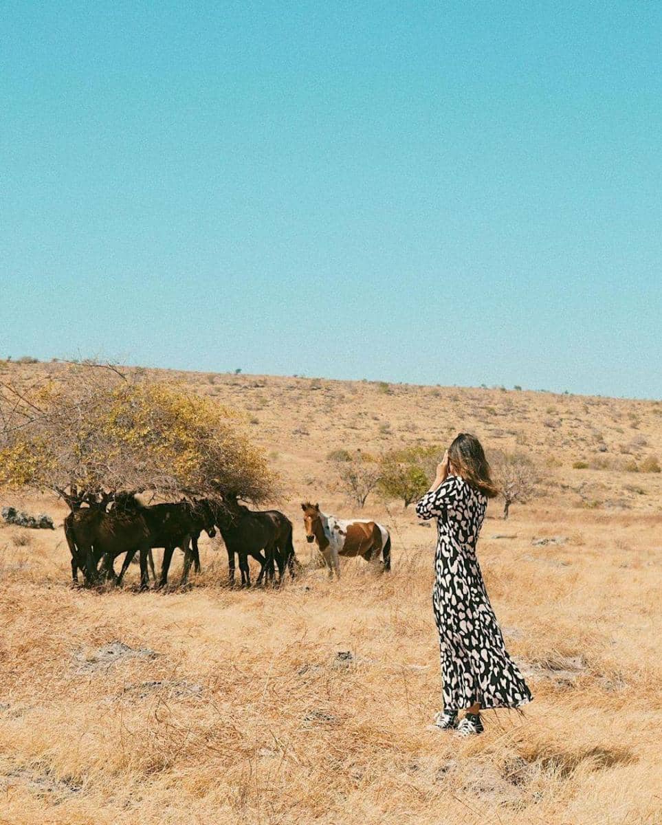 instagram.com/ melodyamadeas