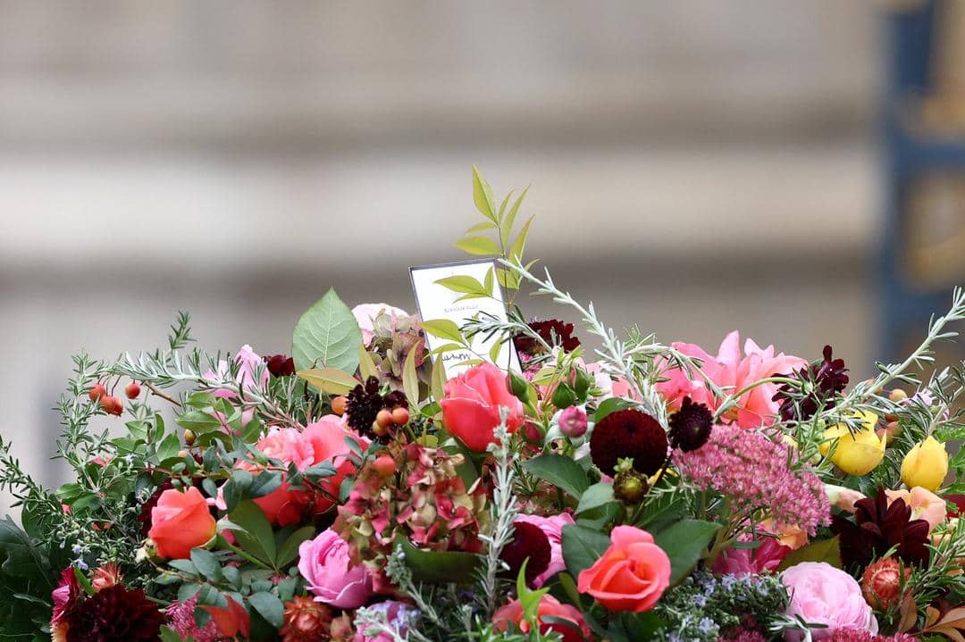 twitter.com/chrisshipitv