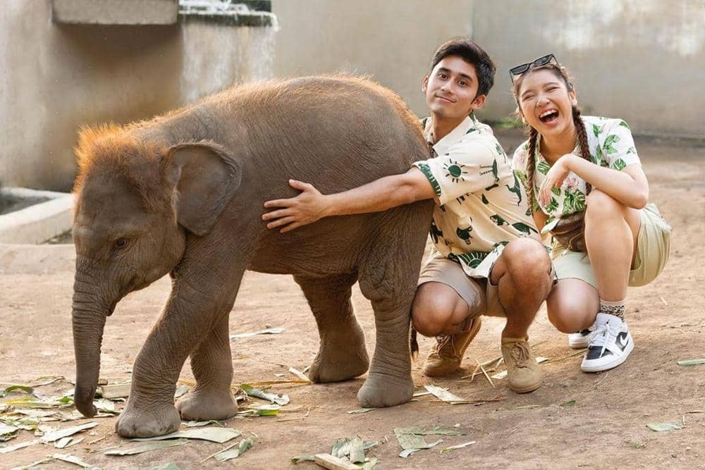 Instagram/ alshadahmad