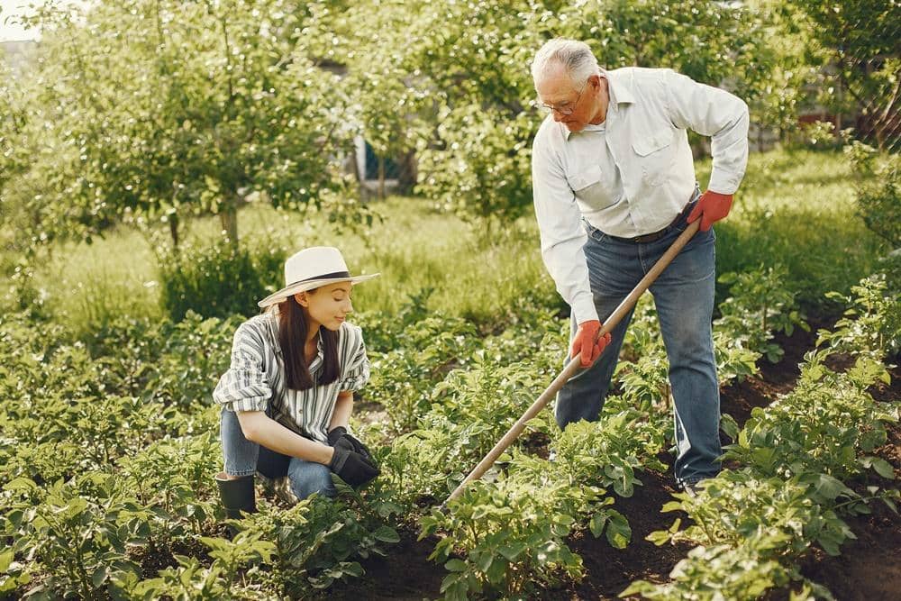 Pexels.com/Gustavo Fring