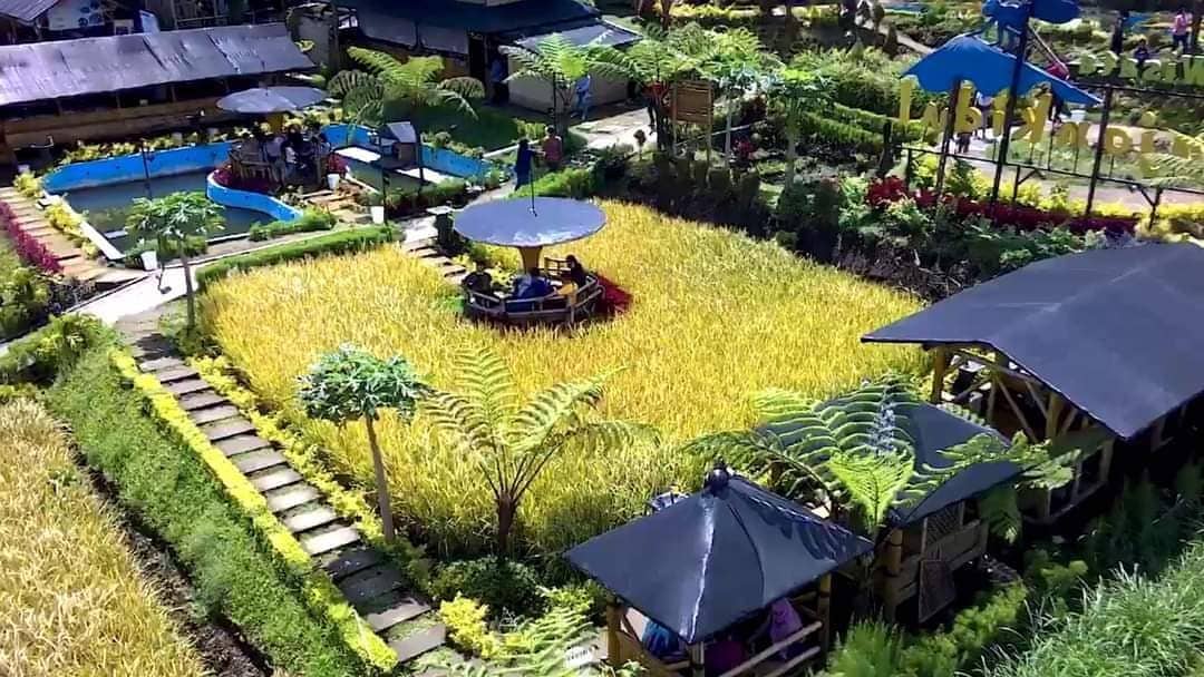 instagram.com/cafesawah_pujonkidul