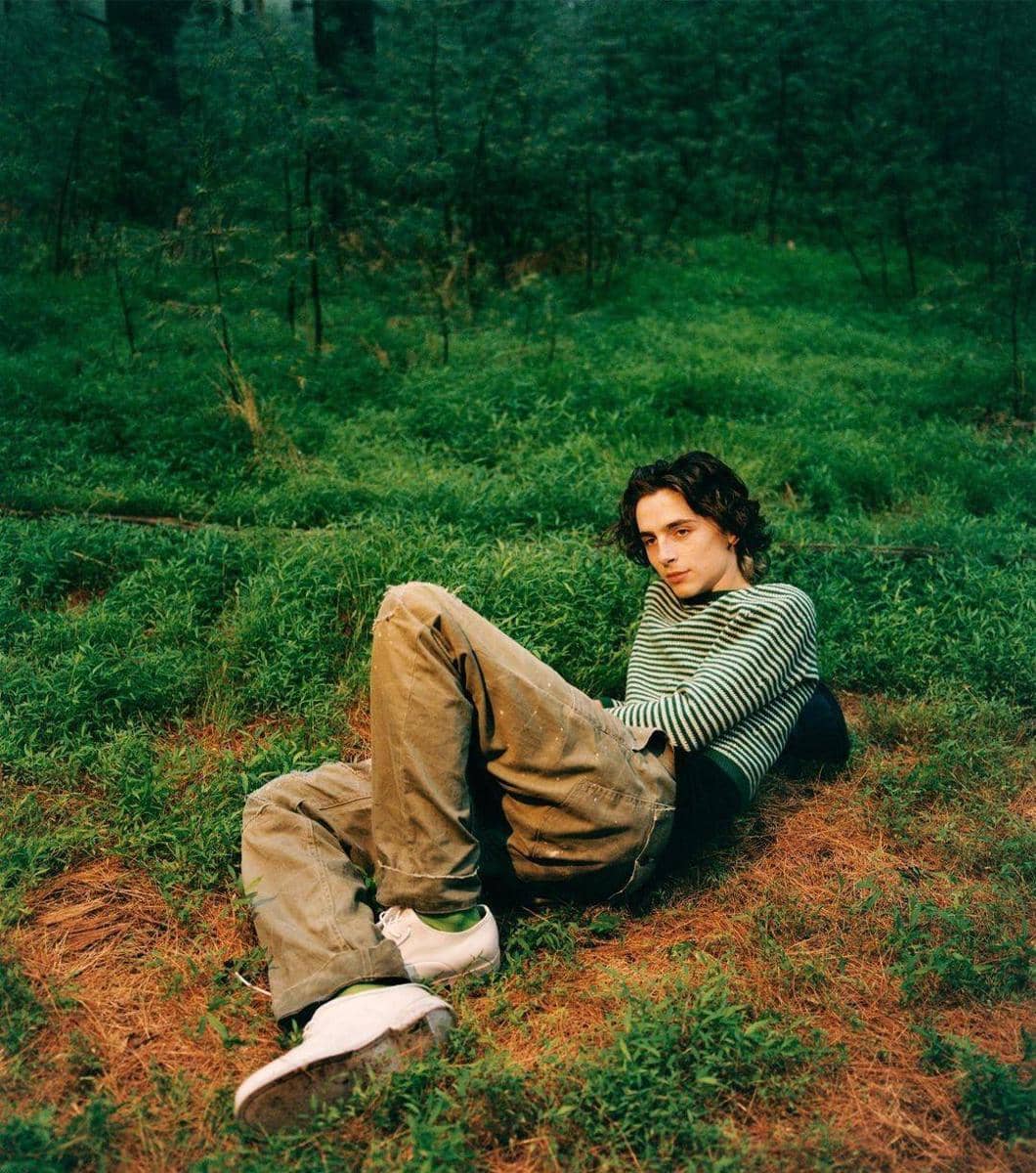 instagram.com/tchalamet