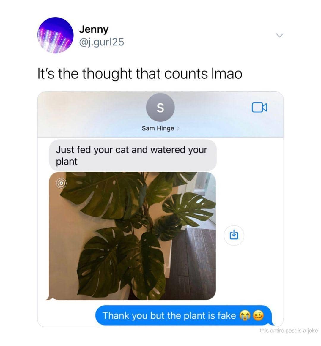 instagram.com/thefunnyintrovert