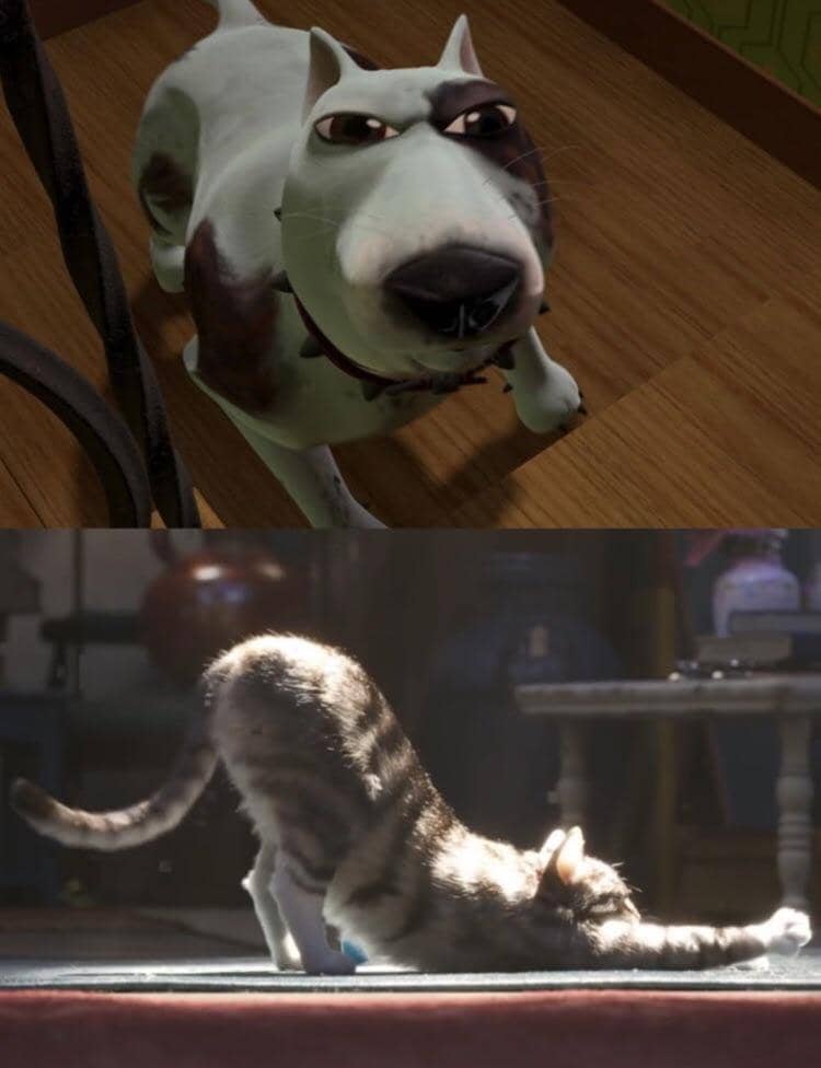 reddit.com/r/interestingasfuck