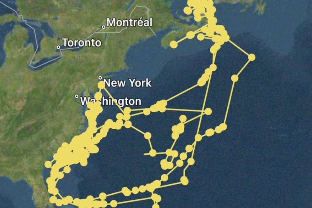 twitter.com/tripgore