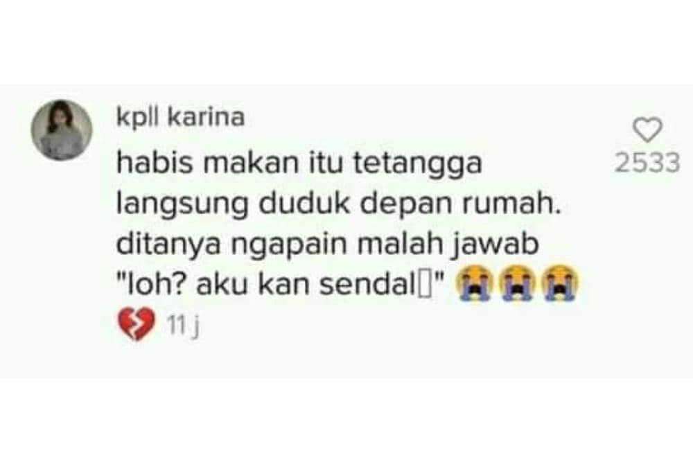 tiktok.com/kpllkarina