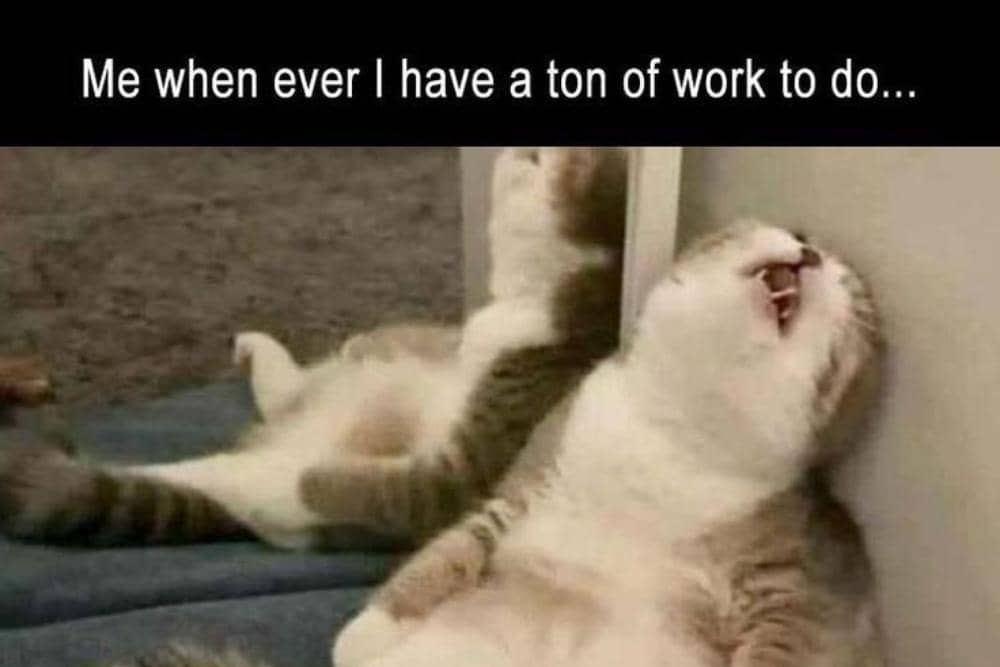 twitter.com/iyasudadeh