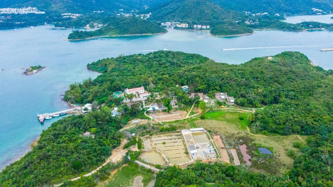 discoverhongkong.com