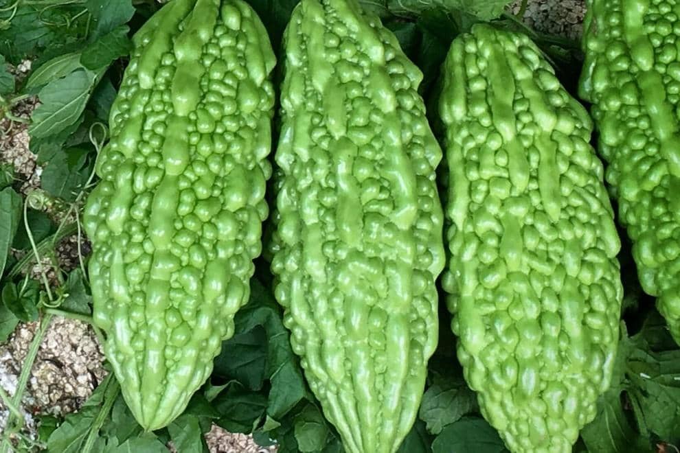 Unsplash.com/Lothar Bodingbauer