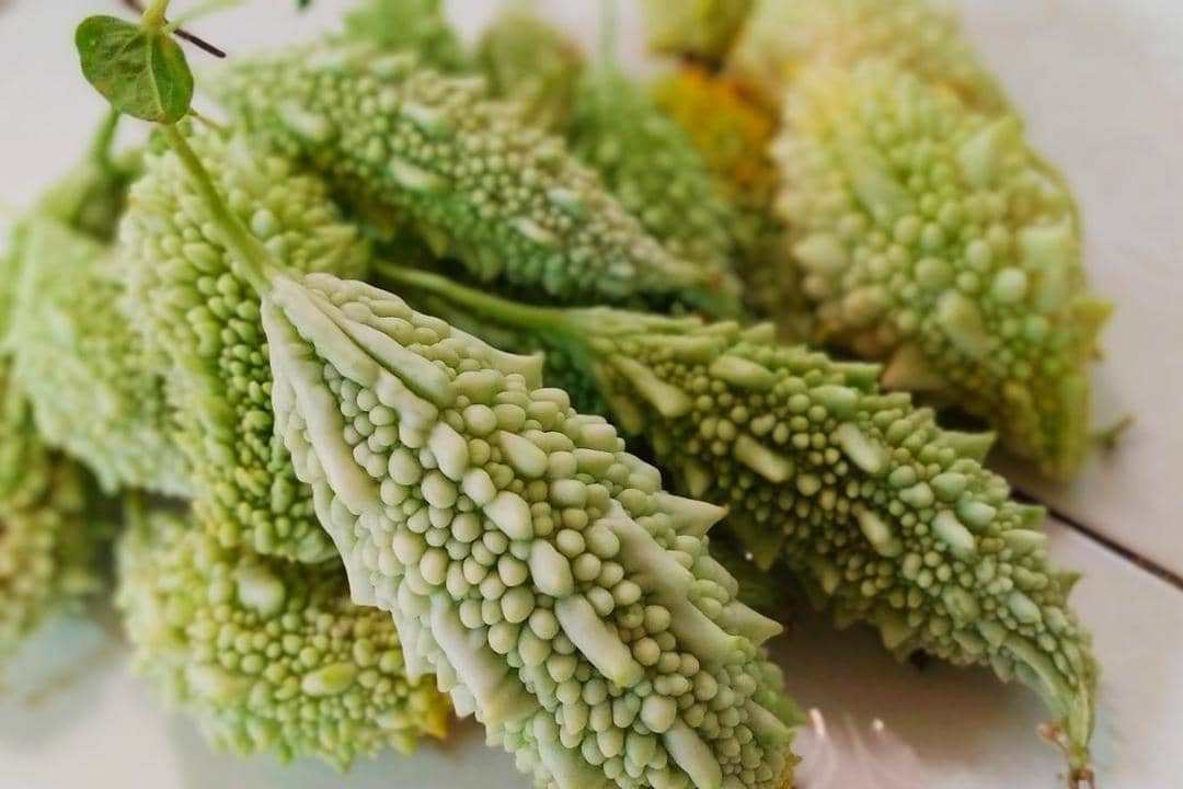 Unsplash.com/Misty Rose