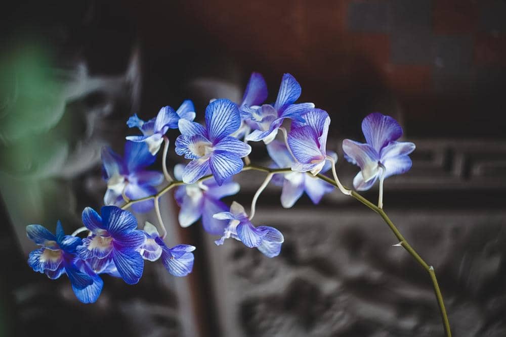 unsplash.com/@sizzzikova