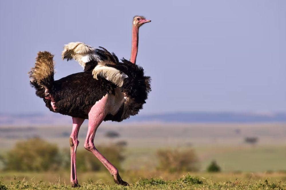 /unsplash.com/camerlin