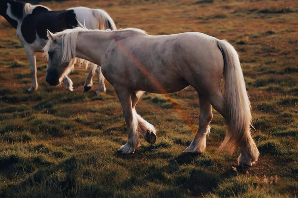 unsplash.com/adamrhodes