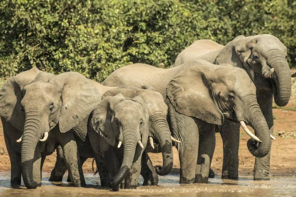 unsplash.com/charl_durand