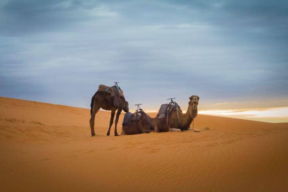 unsplash.com/karim_manjra