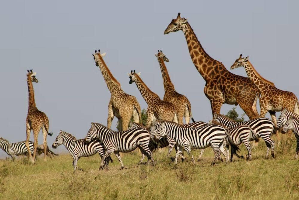 unsplash.com/heathermedwards