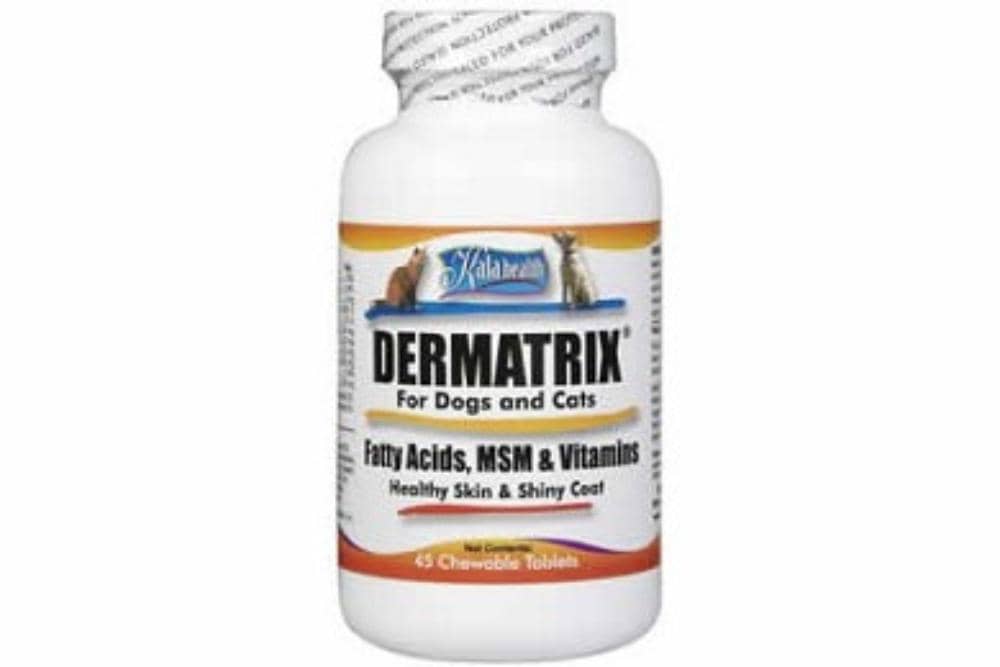 Situs holisticpetinfo.com