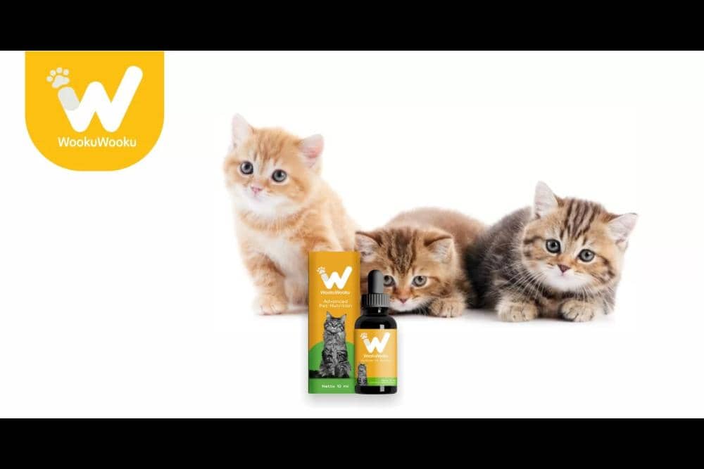 Situs wookuwooku.com