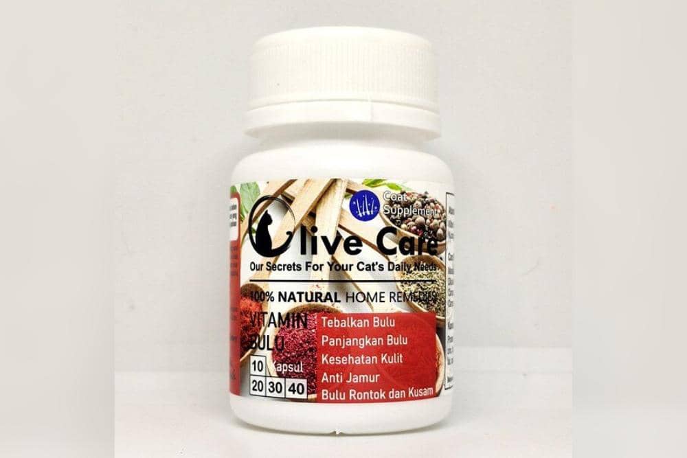 Situs makassarhobi.com