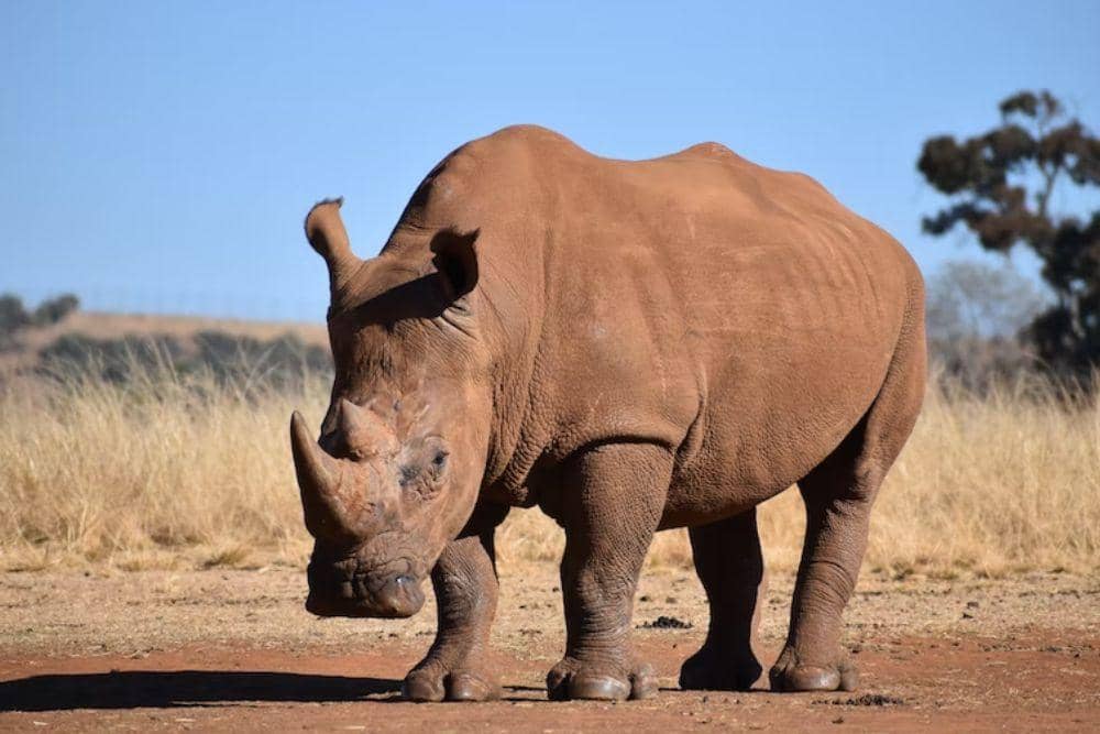 unsplash.com/nicolewreyford