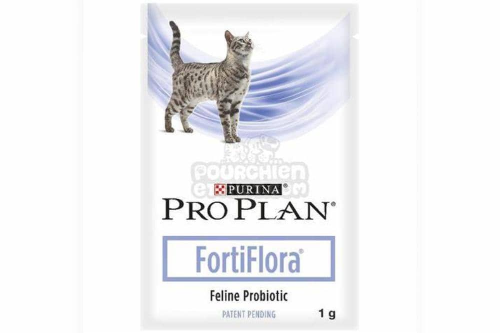 Situs pourchienetchat.com