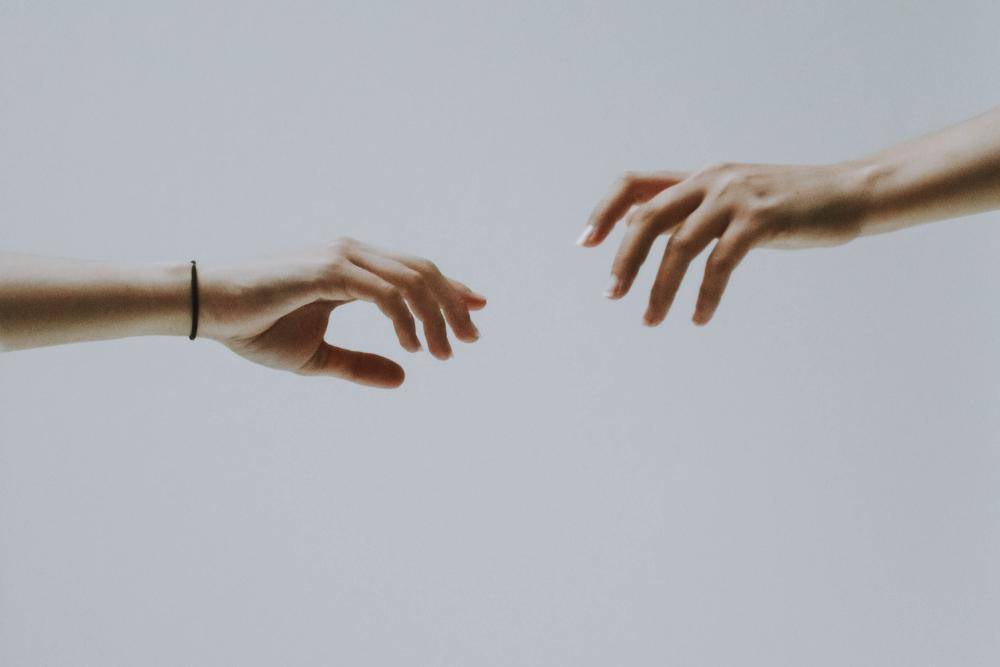 pexels.com/lil artsy