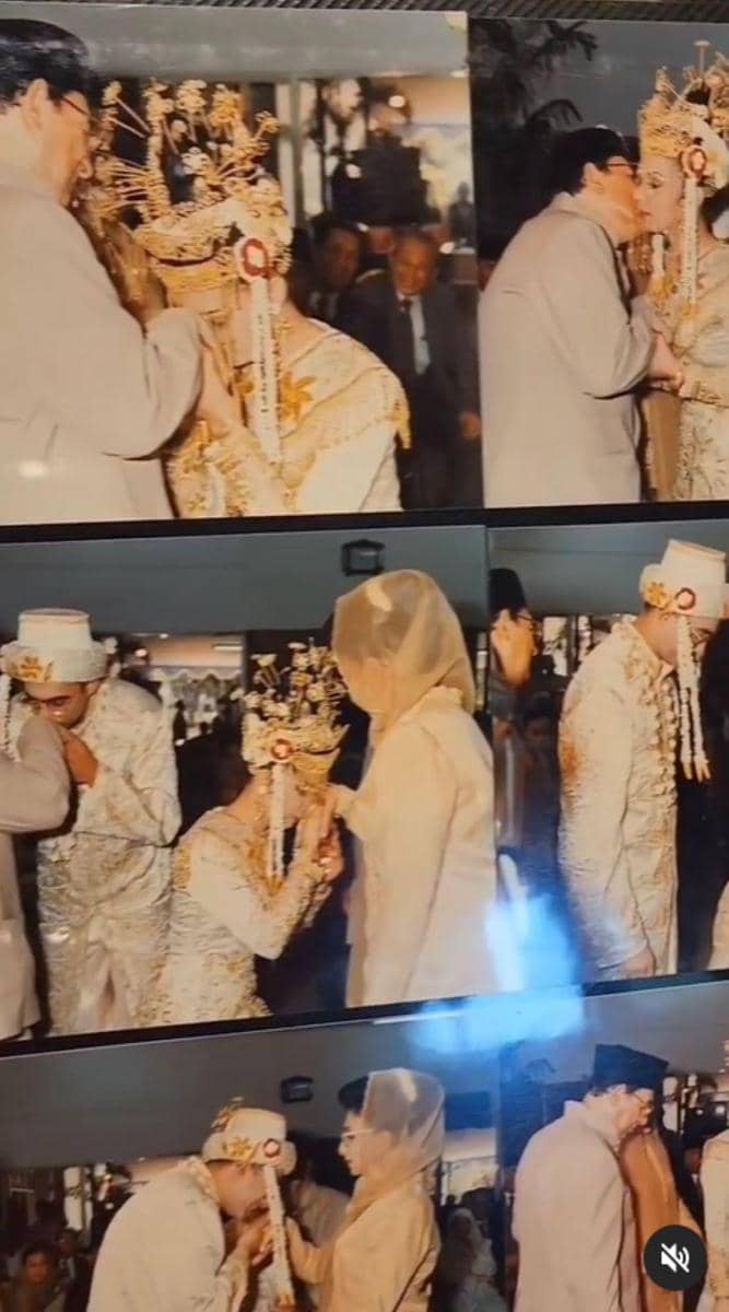 instagram.com/najwashihab