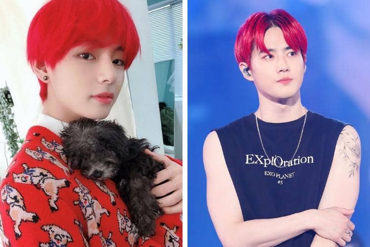 pinterest  /  pinterest