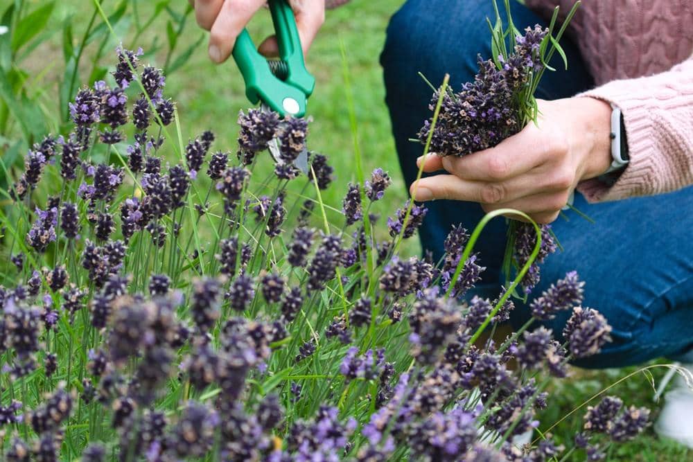 Unsplash.com/Kaur Kristjan