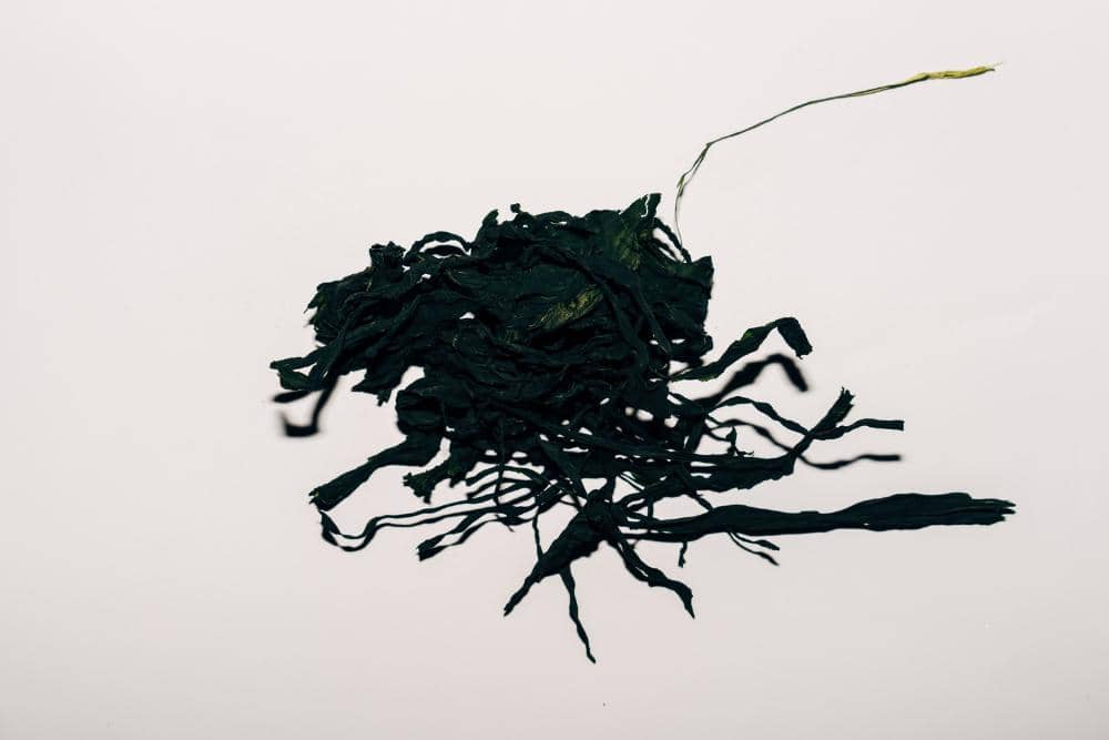 pexels.com/Markus Winkler