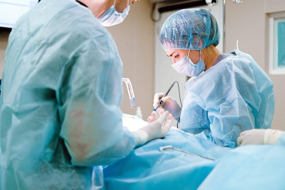 pexels.com/Anna Shvets