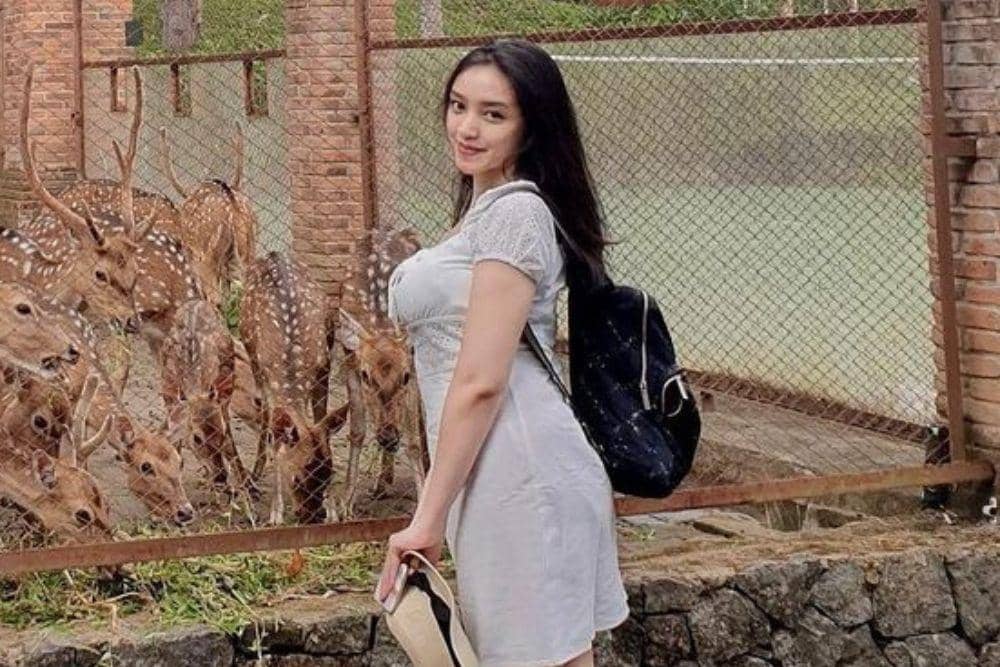 instagram.com/aamandazahra