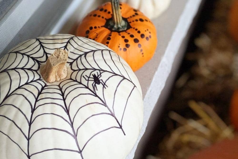 instagram.com/hollyberry_feathers