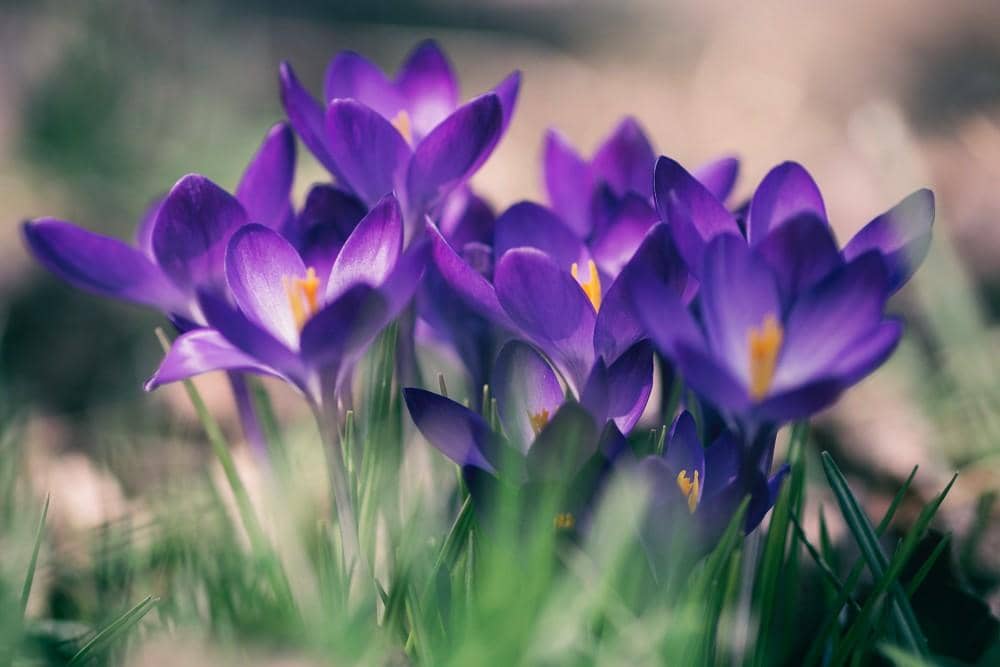 Unsplash.com/Aaron Burden