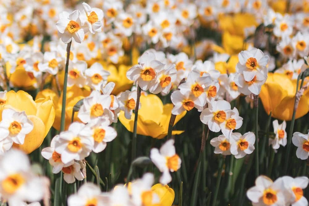 Unsplash.com/Clemence Taillez