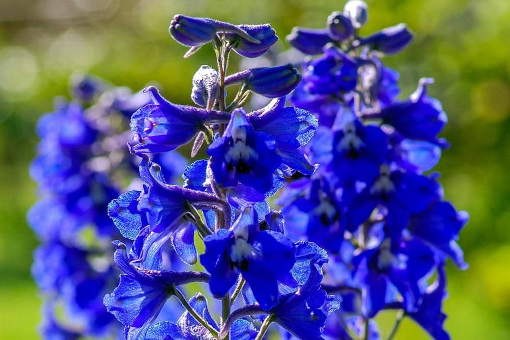 Unsplash.com/Yoksel Zok